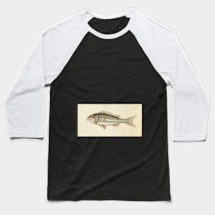 Fish sketch Baseball T-Shirt